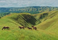 Ilha de Sumba Indonésia colinas