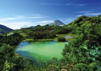 Lago java