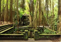Templo Ubud, Bali, Indonésia