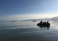 Expedição Quark Expedition