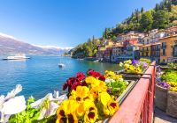 Como italia varenna flowers