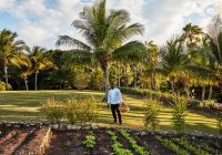 Jamaica round hill hotel and villas horta