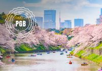 Japao cerejeira pgb rio