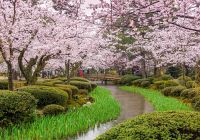 Japao kanazawa Kenrokuen jardim