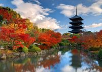 Japao nara parque lago