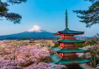 Japao pagode chureito cerejeiras vista