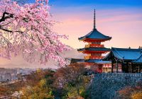 Japao pagode chureito cerejeiras