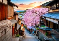 Japao quioto cerejeiras distrito de gion passeio visra