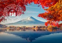 Outono japao pgb tuji