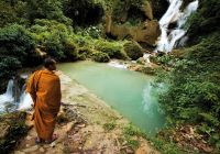 Monge luang prabang