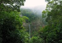 Parque Ambre - Madagascar