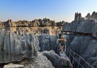 Reserva Natural Tsingy Bemaraha - Madagascar