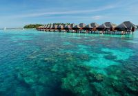 Ayada maldives corais