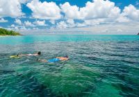 Ayada maldives snorkel