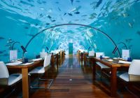 Conrad maldives rangali island ithaa undersea restaurant