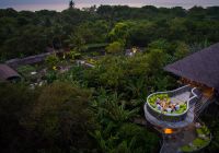 Soneva fushi fresh in the garden