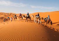 Caravana pelo deserto do Saara
