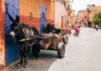 Ruas antigas de Marrakech - Marrocos.