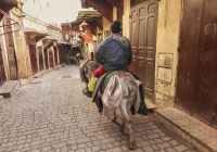 Ruas de Fez - Marrocos.