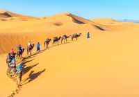 Viagem Marrocos passeio camelo Deserto Sahara