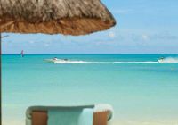 Atividade Royal Palm