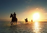 Lux belle mare cavalgada