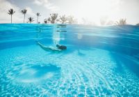 Mexico hard rock hotel e casino punta cana pool adult