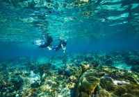 Mo ambique azura benguerra island mergulho