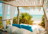 Mo ambique azura benguerra island peri peri beach praia
