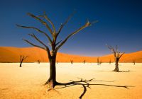 Deserto de Sossuvlei