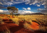 Deserto