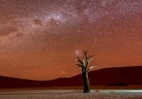 Namib naukluft national park of namibia