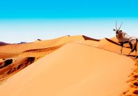 sossusvlei