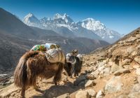 Viagem Himalaia turismo Nepal