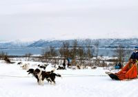 Noruega tromso treno