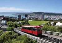 Atividades passeios Wellington, Nova Zelândia