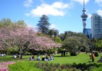 Aproveitando o parque de Auckland