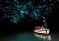 Glowworm Caves em Waitomo