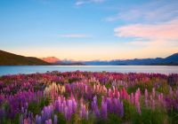 Lake Tekapo, na Nova Zelândia