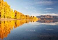 Paisagem de outono em Wanaka