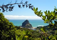 Piha Beach, Auckland