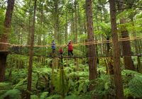 Redwood, Rotorua, Nova Zelândia
