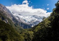 Rob Roy Glacier Track, Wanaka