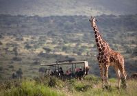 Skysafari loisaba gamedrives