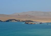 Peru paracas
