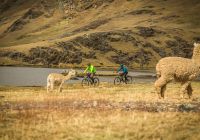 Passeios de bicicleta organizada pelo explora