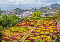 Jardim Botânico Funchal