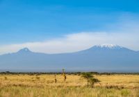 Quenia angama amboseli parque nacional