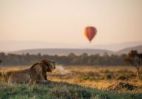 Quenia angama masai mara parque nacional leao balao