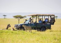 Quenia angama masai mara parque nacional safari guepardo